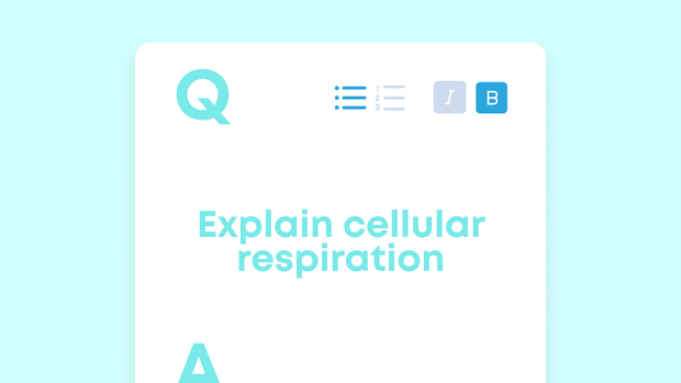 What is Free Recall (& How Can You Train Your Brain to Remember More)?