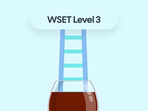 How to Advance Your Career in Wine with the WSET Level 3 Exam