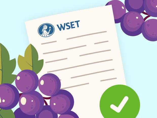 How to Pass the WSET Diploma D1 Exam on Wine Production