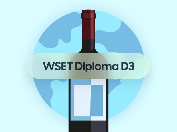 How to Pass the WSET Diploma D3 Exam on the Wines of the World