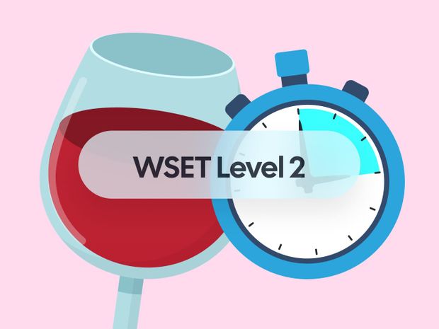 How to Study for the WSET Level 2 Exam More Efficiently