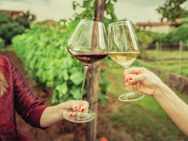 The Wine Menu DECODED: Brainscape’s ‘Wine Appreciation’ Flashcards are Here!