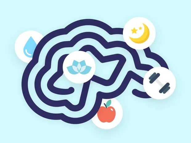 How To Optimize Your Brain Health For Effective Studying