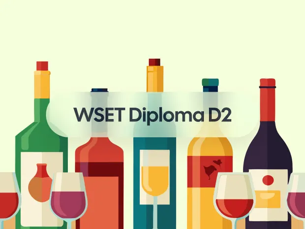 How to Pass the WSET Diploma D2 Exam on the Business of Wine
