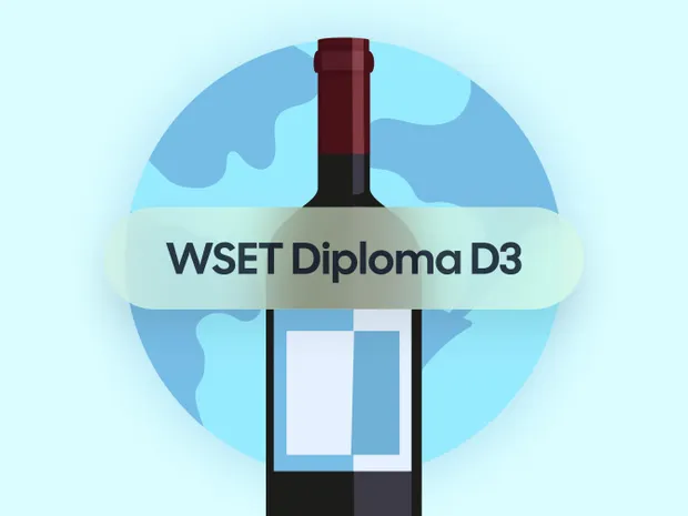 How to Pass the WSET Diploma D3 Exam on the Wines of the World