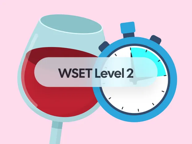 How to Study for the WSET Level 2 Exam More Efficiently