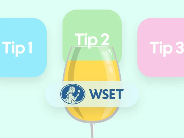 Wine Tasting Tips for the WSET Level 3 Exam