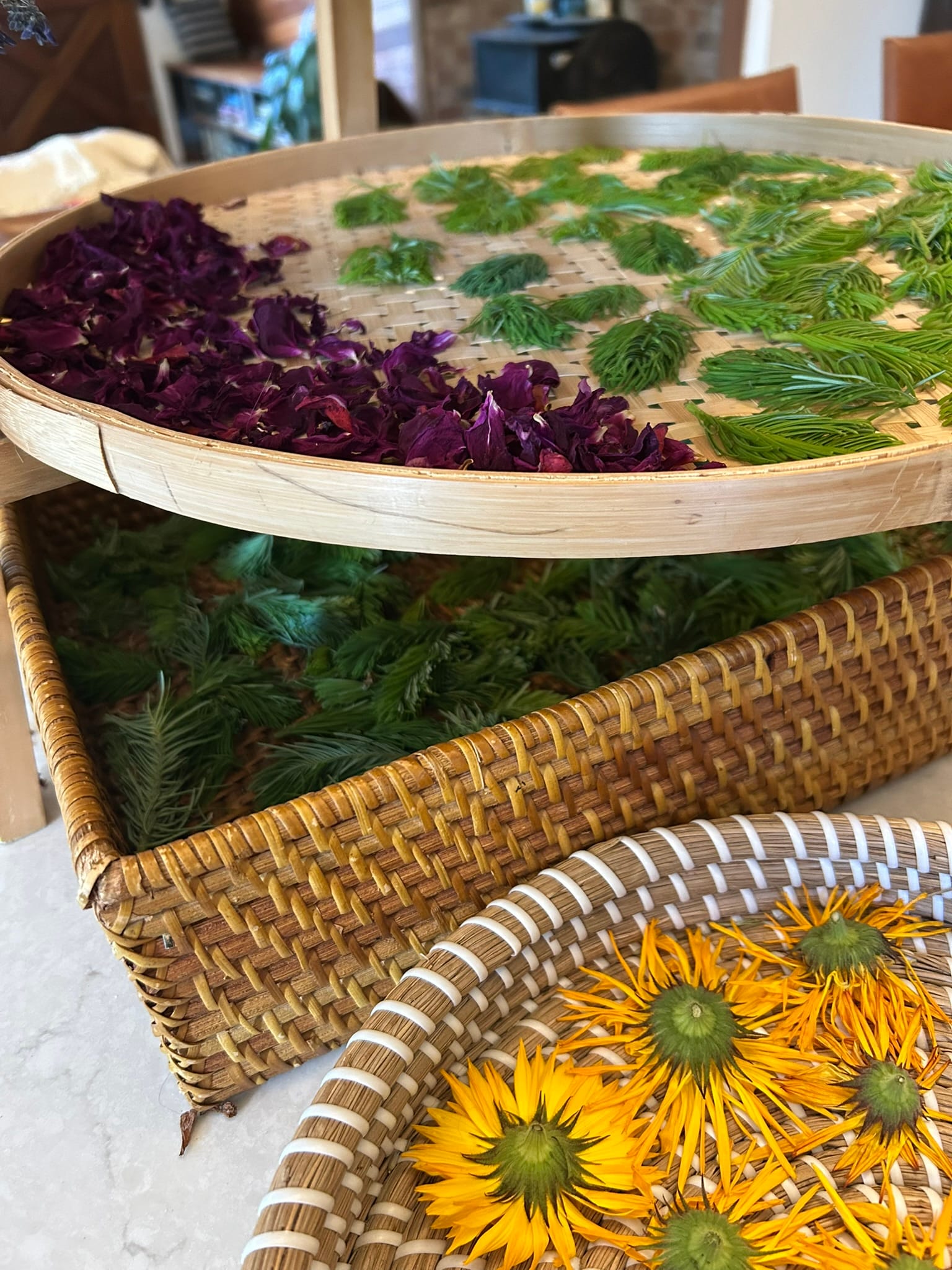 Photo of orange and pink flowers and green Grand fir tips drying in baskets