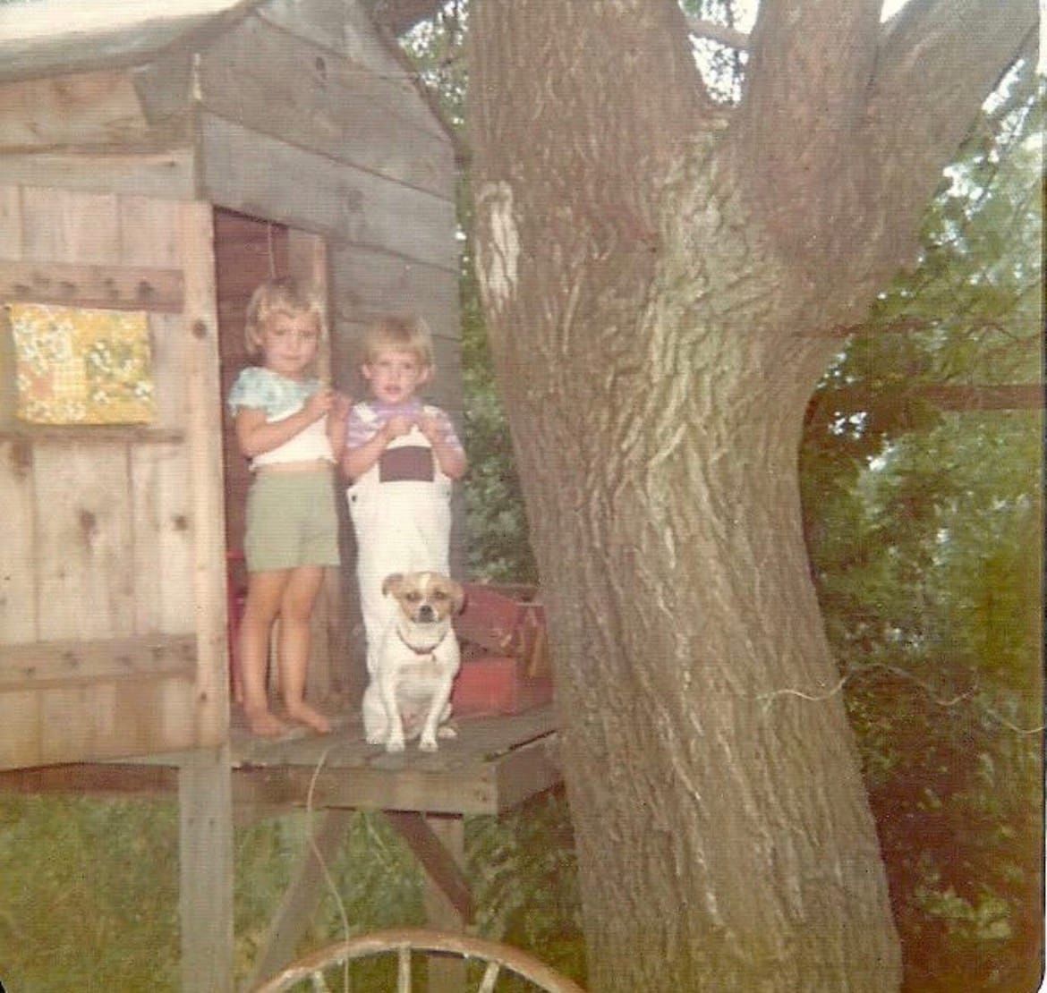 Old photo of two blond kids and a little white and brown dog standing in the door of an old unpainted treehouse 