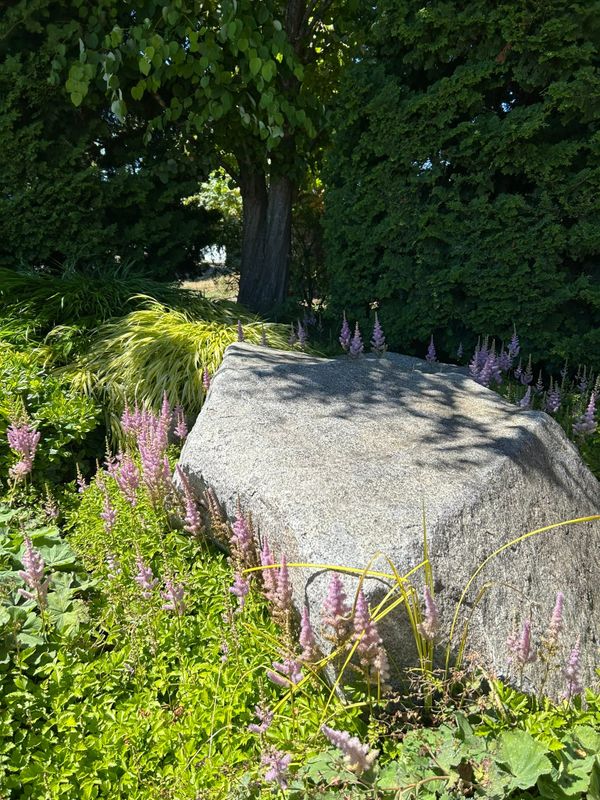Photo of a large, flat gray boulder surrounded by purple flowers and green in the woods