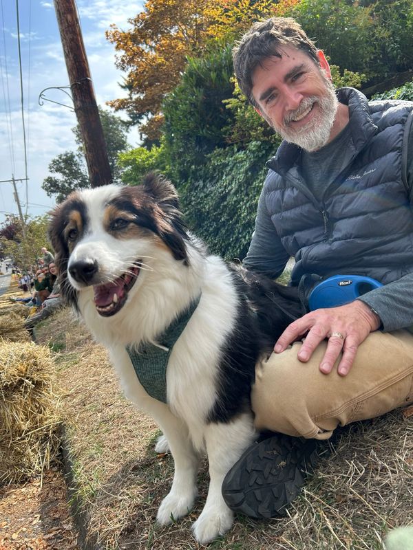 A black and white Australian shepherd sits in front of a man wearing a dark gray puffy vest, watching a silly race down a local hill