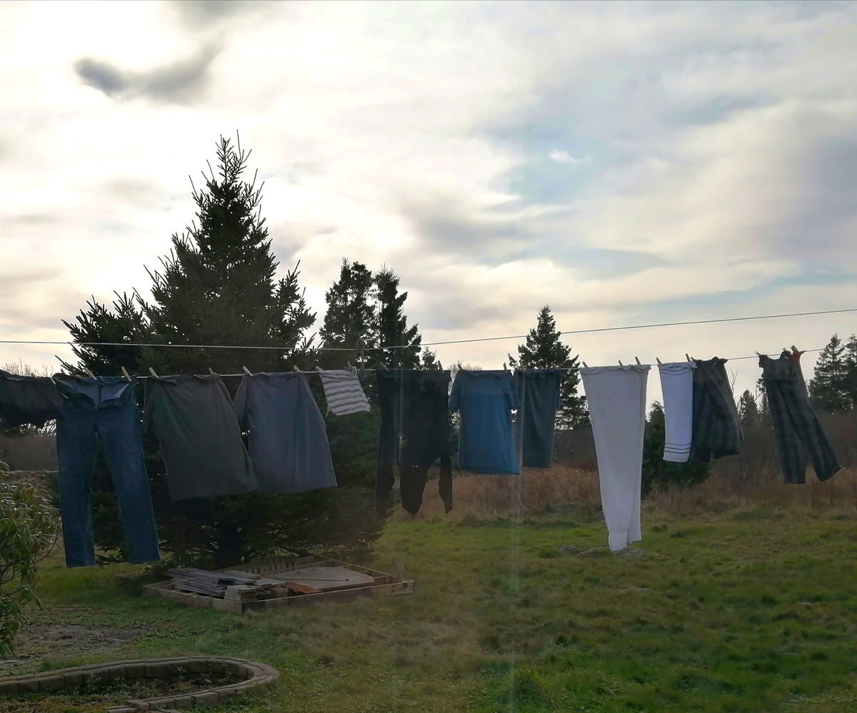 Special Holiday Update!