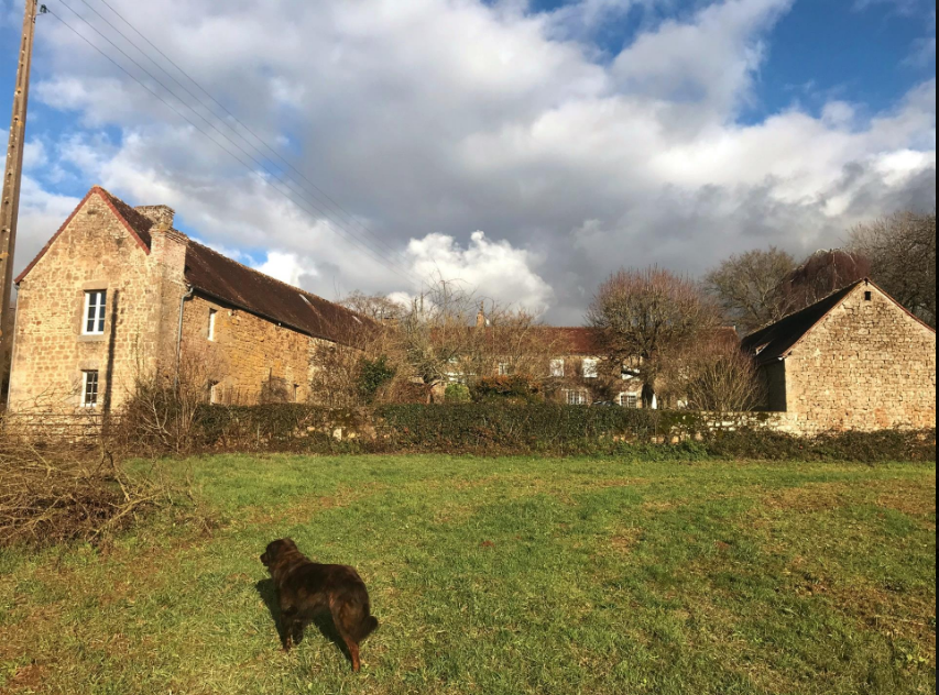 The Decision has been made