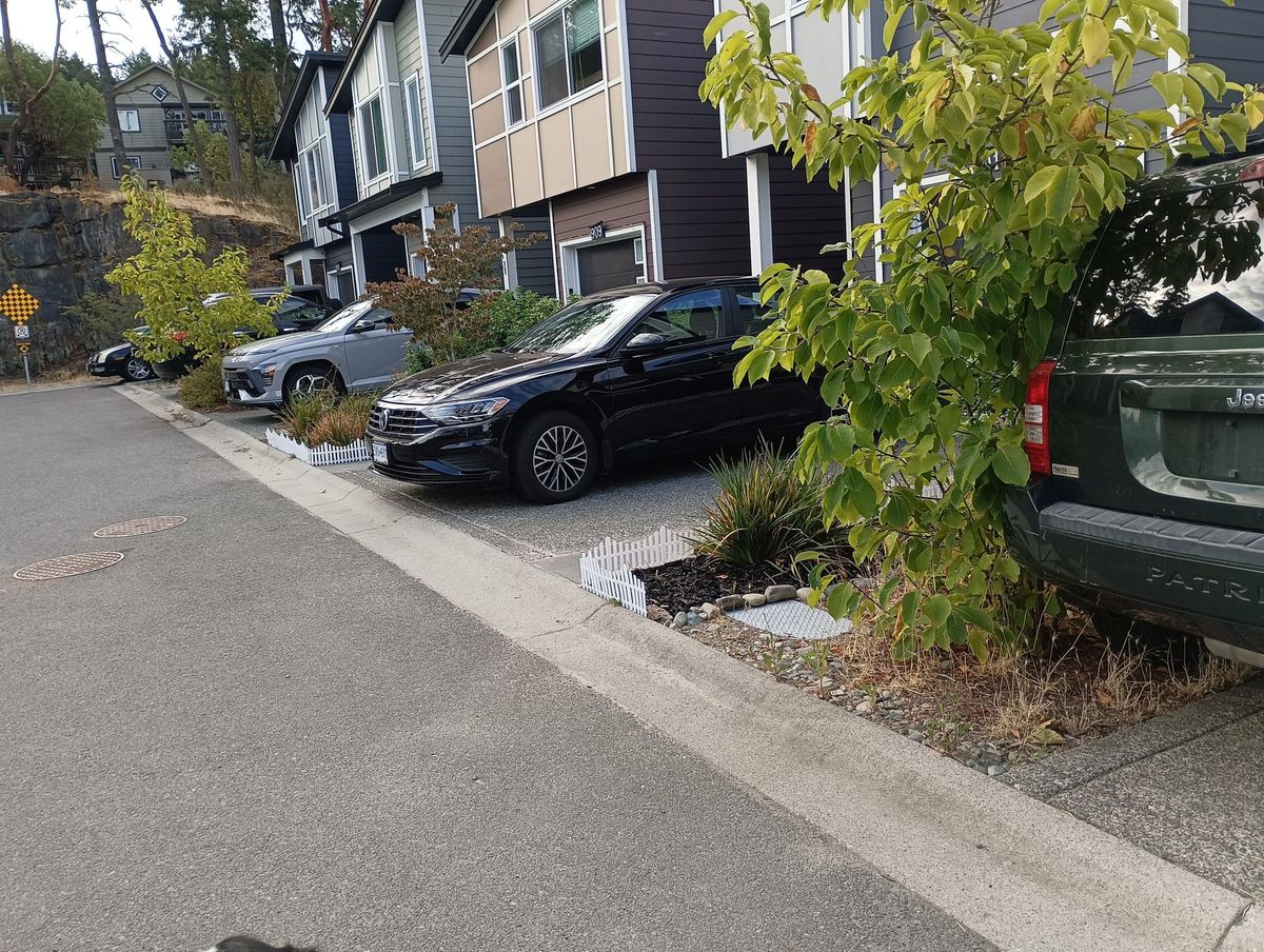 One  Reality of Car Culture
