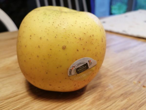 The Apple of My Eye