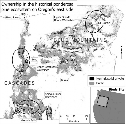 Ownership in the historical ponderosa pine ecosystem on Oregon's east side