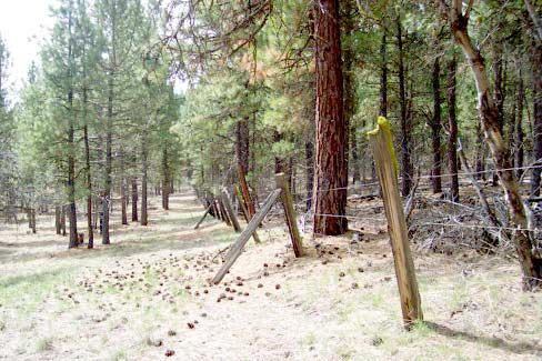Fig. 2 Property boundary: private on left, public on right