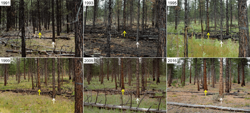 Six photos taken from the same point