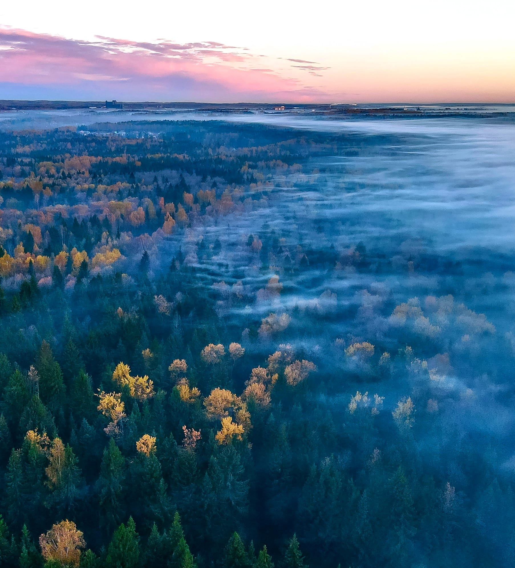 an aerial view of a foggy forest at sunset