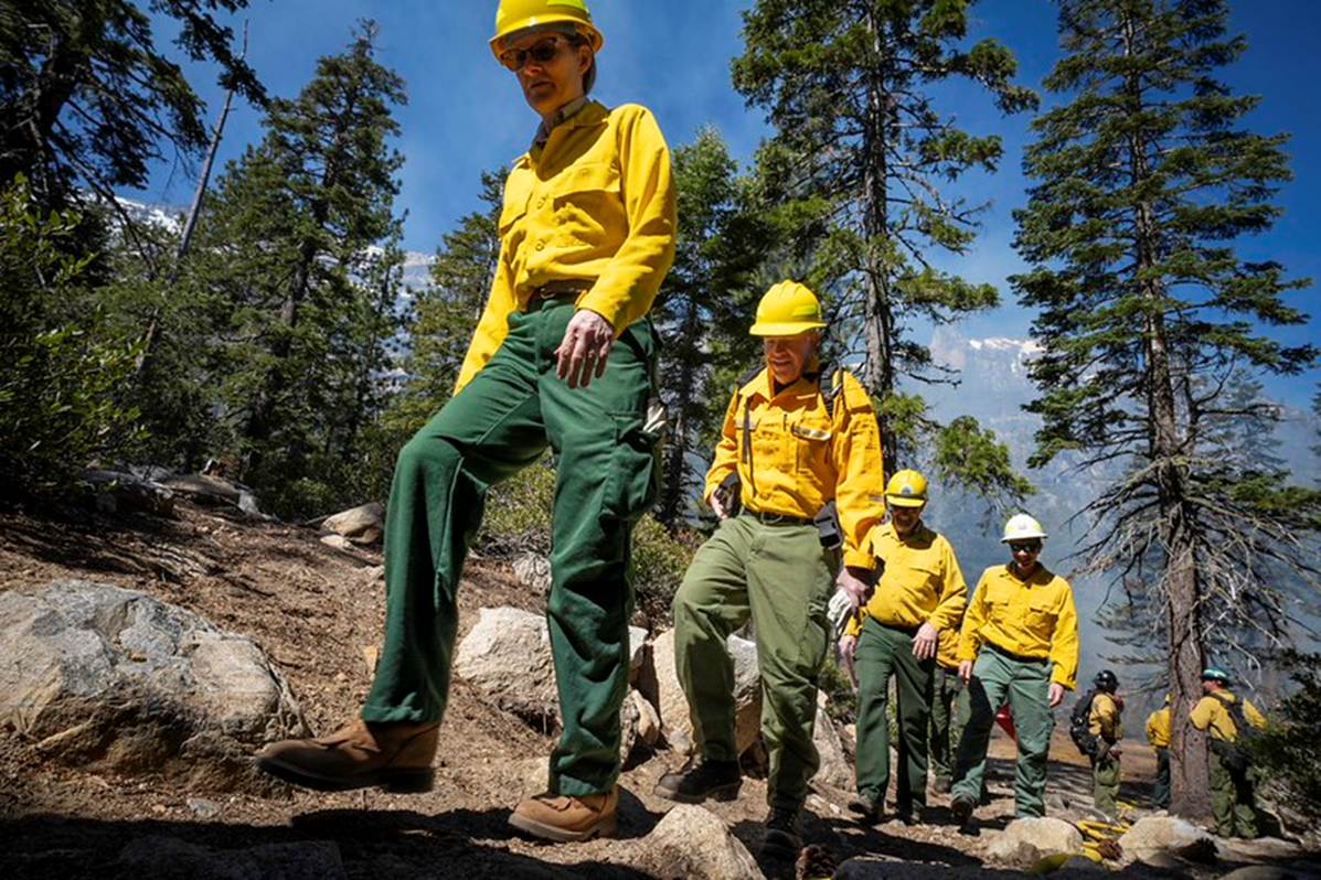 A picture containing tree, outdoor, person, sky

AI-generated content may be incorrect.