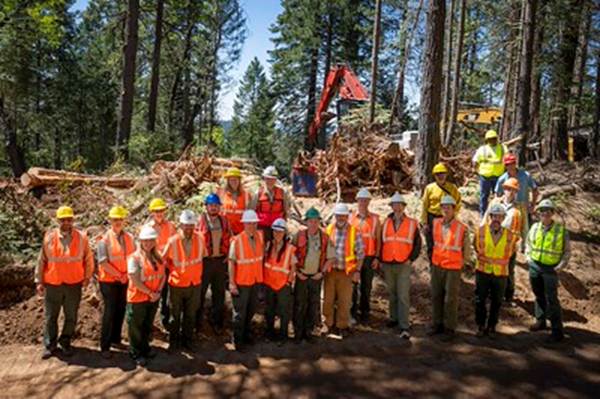 A picture containing tree, outdoor, group, person

AI-generated content may be incorrect.