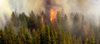 A Taxpayer's Guide To Wildfires: Part 1
