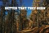 Better That They Burn