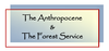 A Forest Service Vision During the Anthropocene