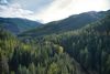 Julia Lauch: Wildland Firefighter and Idaho State Forester