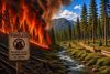 Roadless Is Not Wilderness