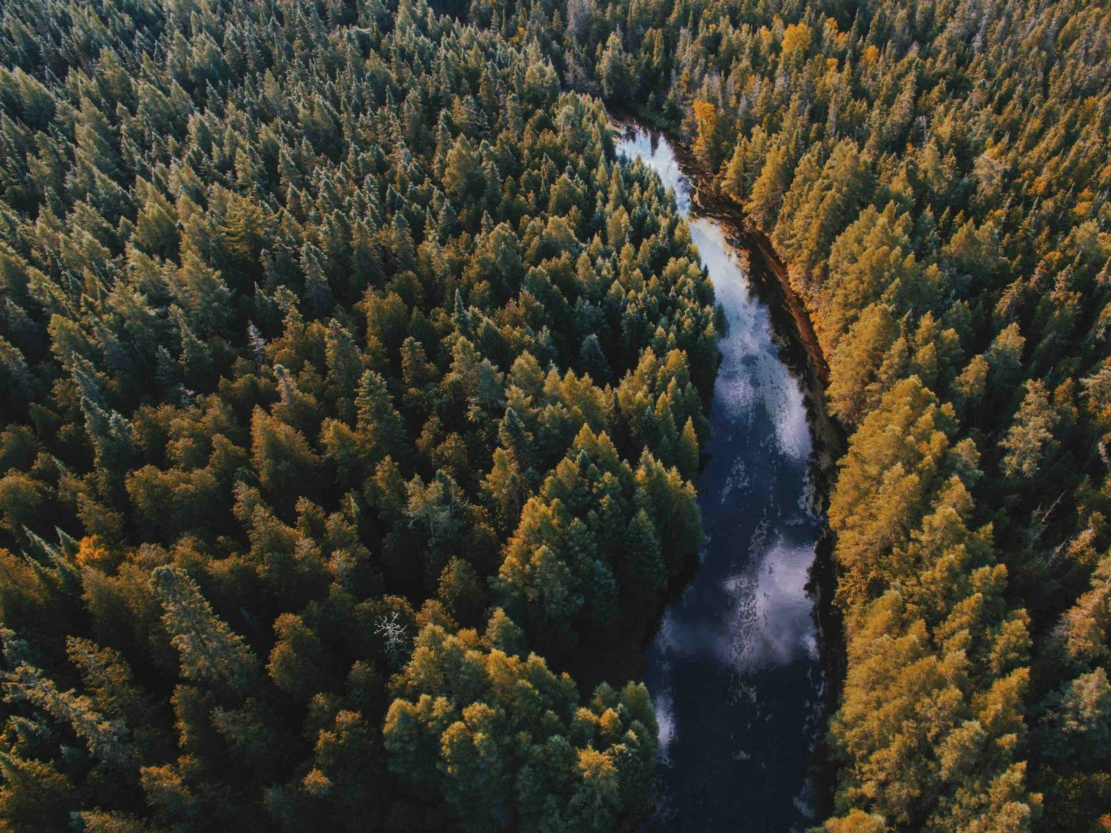 L'eco della Terra