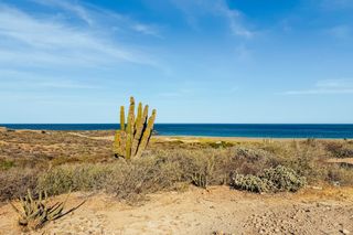 Veduta panoramica di Cabo Pulmo dove l'arido deserto della Baja California Sur incontra le acque cristalline del Mare di Cortez.