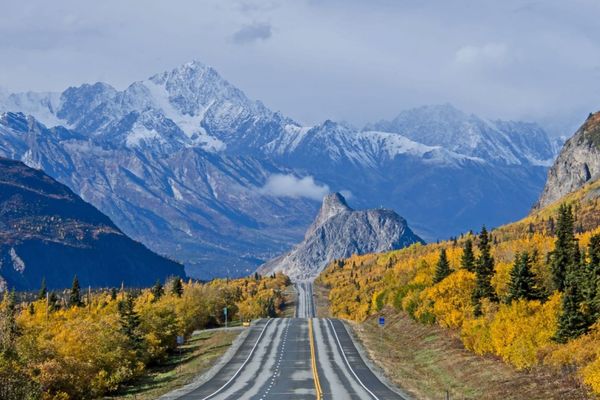 Le strade dell'Alaska tagliano il silenzio della natura selvaggia, guidandoci verso i confini del mondo