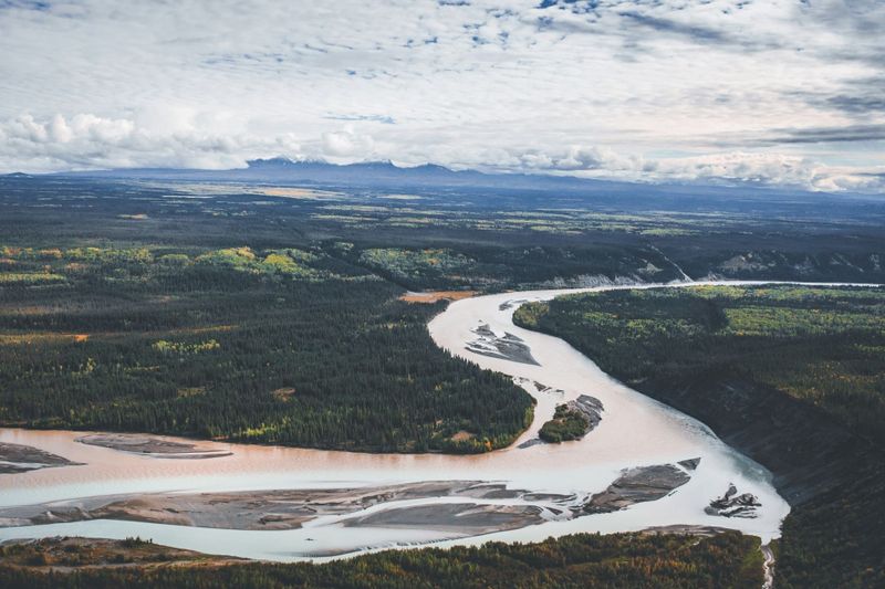 A normal life