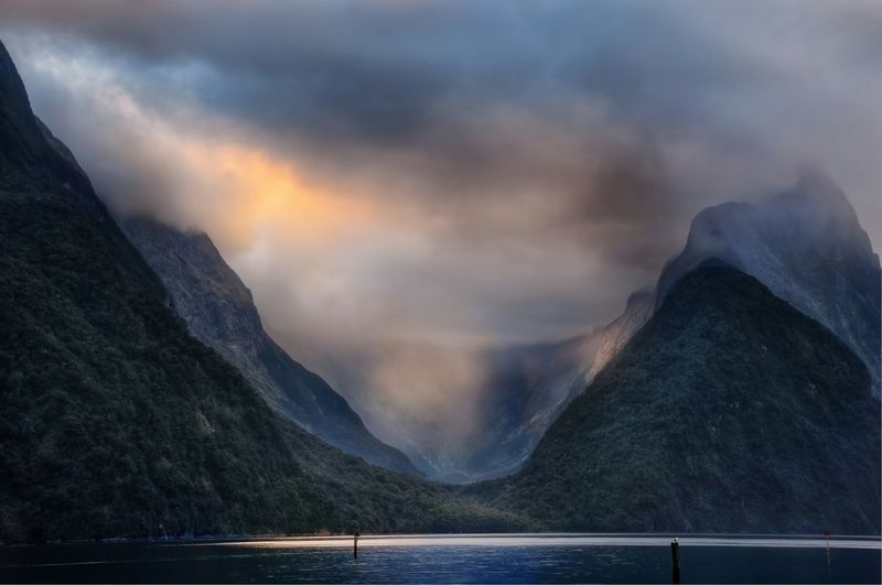 Aotearoa: esplorando la storia naturale unica della Nuova Zelanda