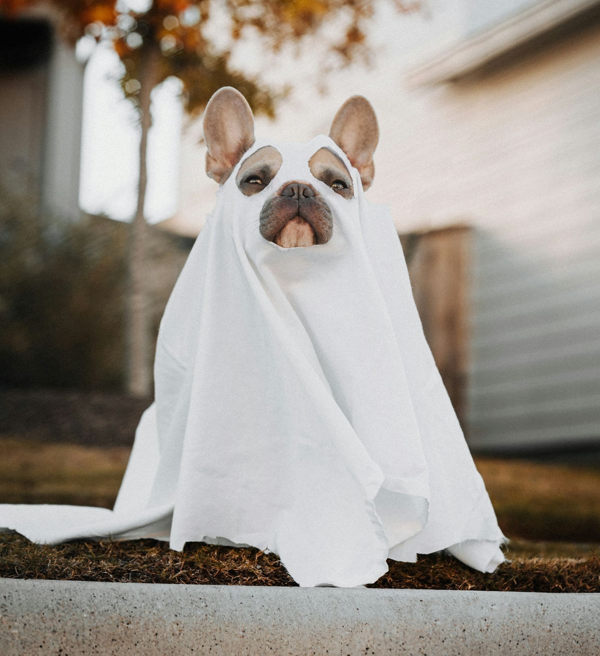 Nonprofit Scary Stories to Tell in the Dark (to Minimize Electricity-Based Overhead) 2026