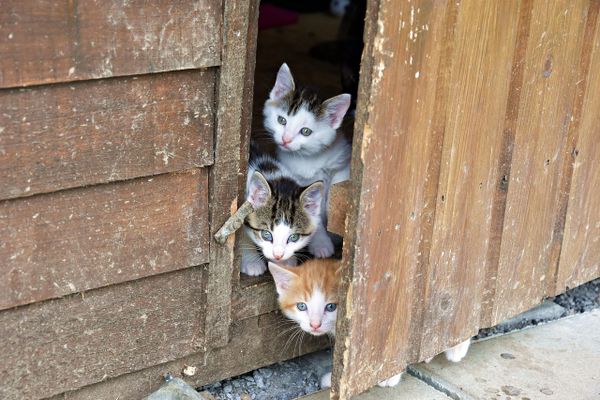 Donors and funders, instead of freaking out or being numb, here are things you can do to fight fascism: