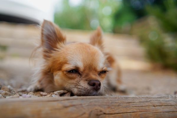 How to stay motivated when everything is on fire and you look and feel like crap