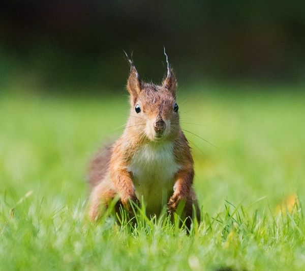 Marginalized Communities and the Audacity of Ambition