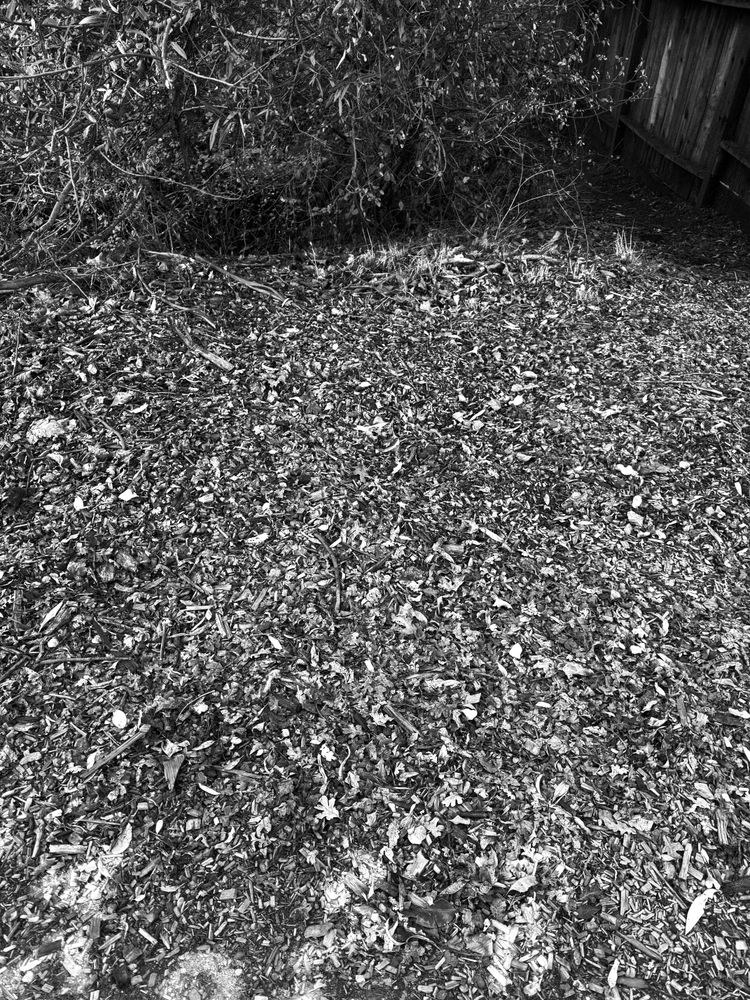 The warm dry air tells me something.