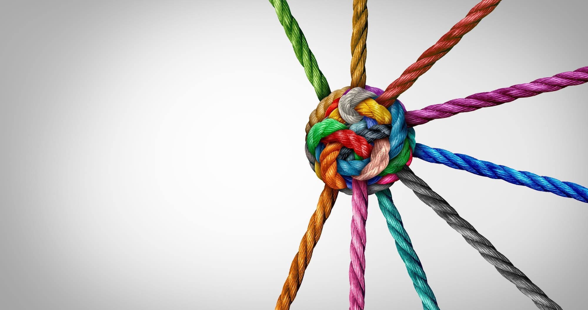 A multicolored knot ties several ropes together against a gray background, symbolizing unity and teamwork. Each rope radiates outward in a different color.