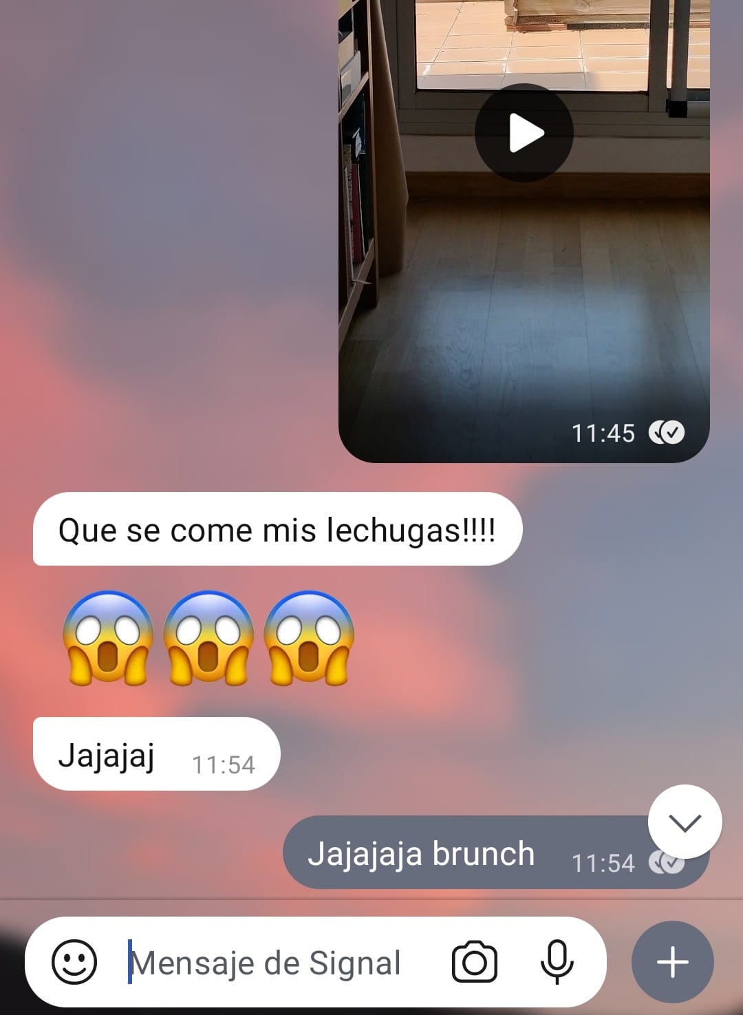 pantallazo de una conversación por chat: 1) que se come mis lechugas!!! 2) jajajaj brunch