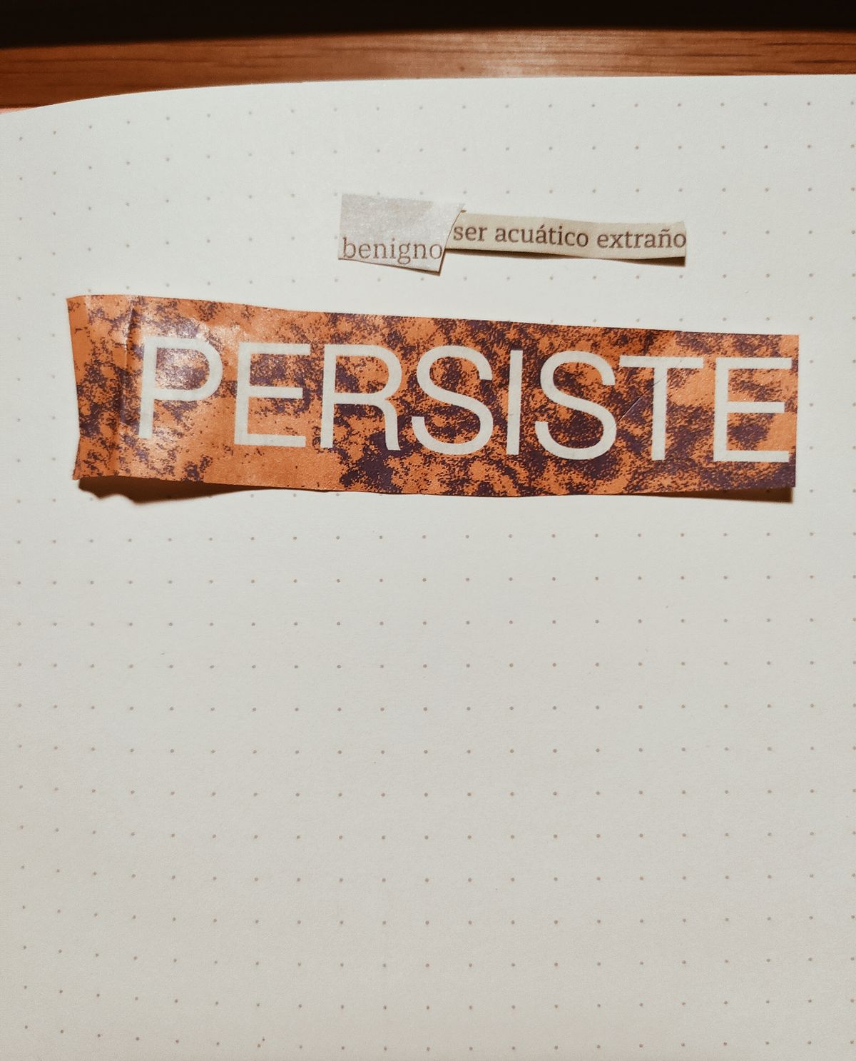 obsesiones temporales para siempre