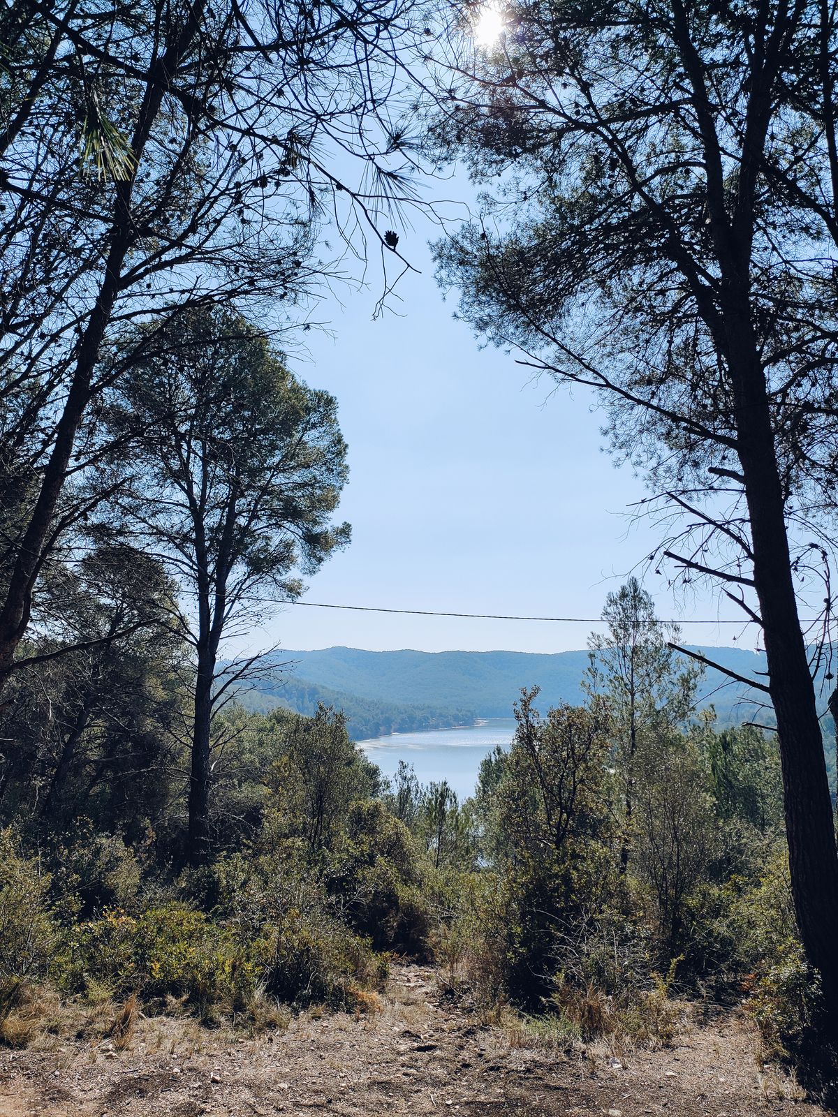 la garza de Ada Limón