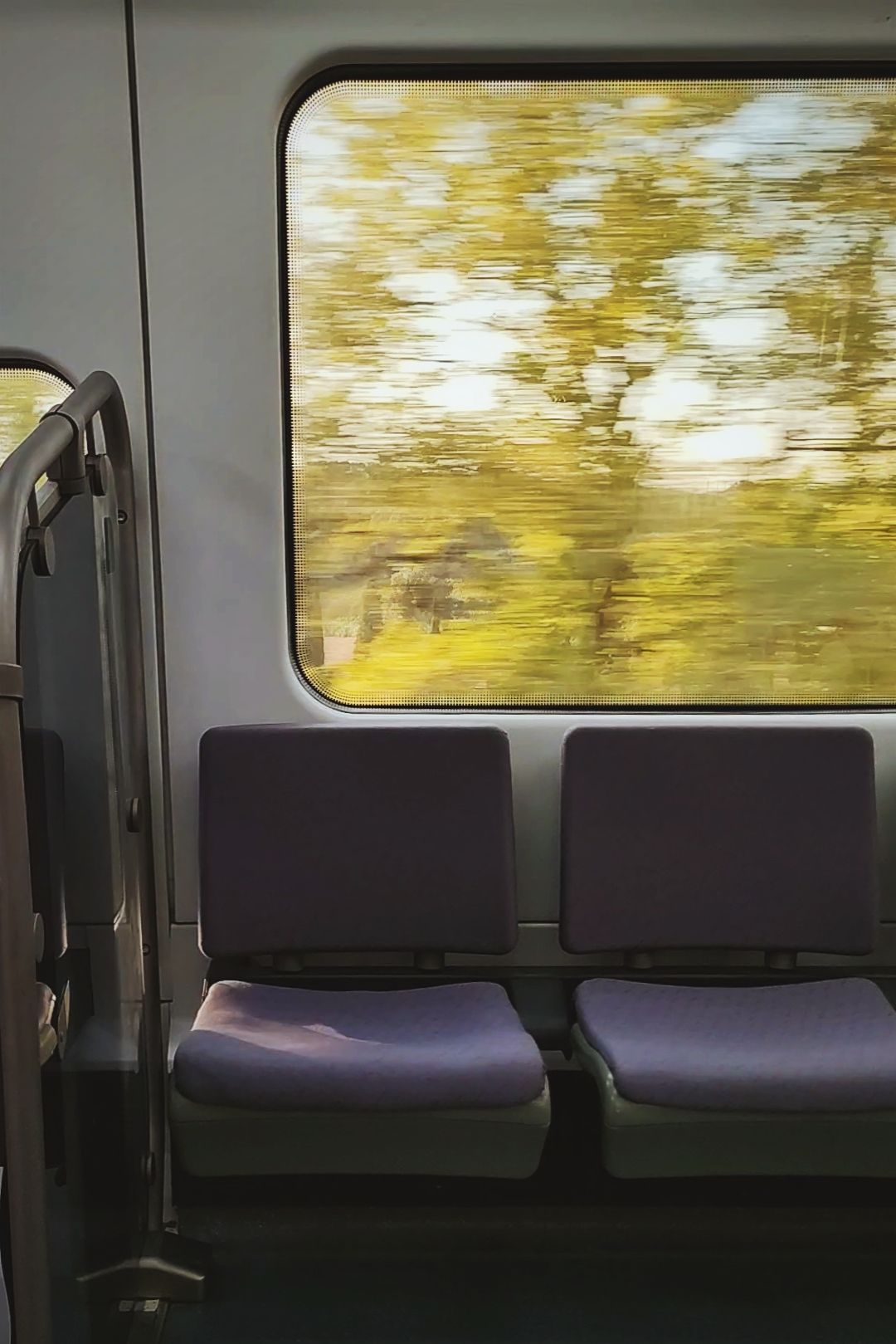 el elefante en la habitación