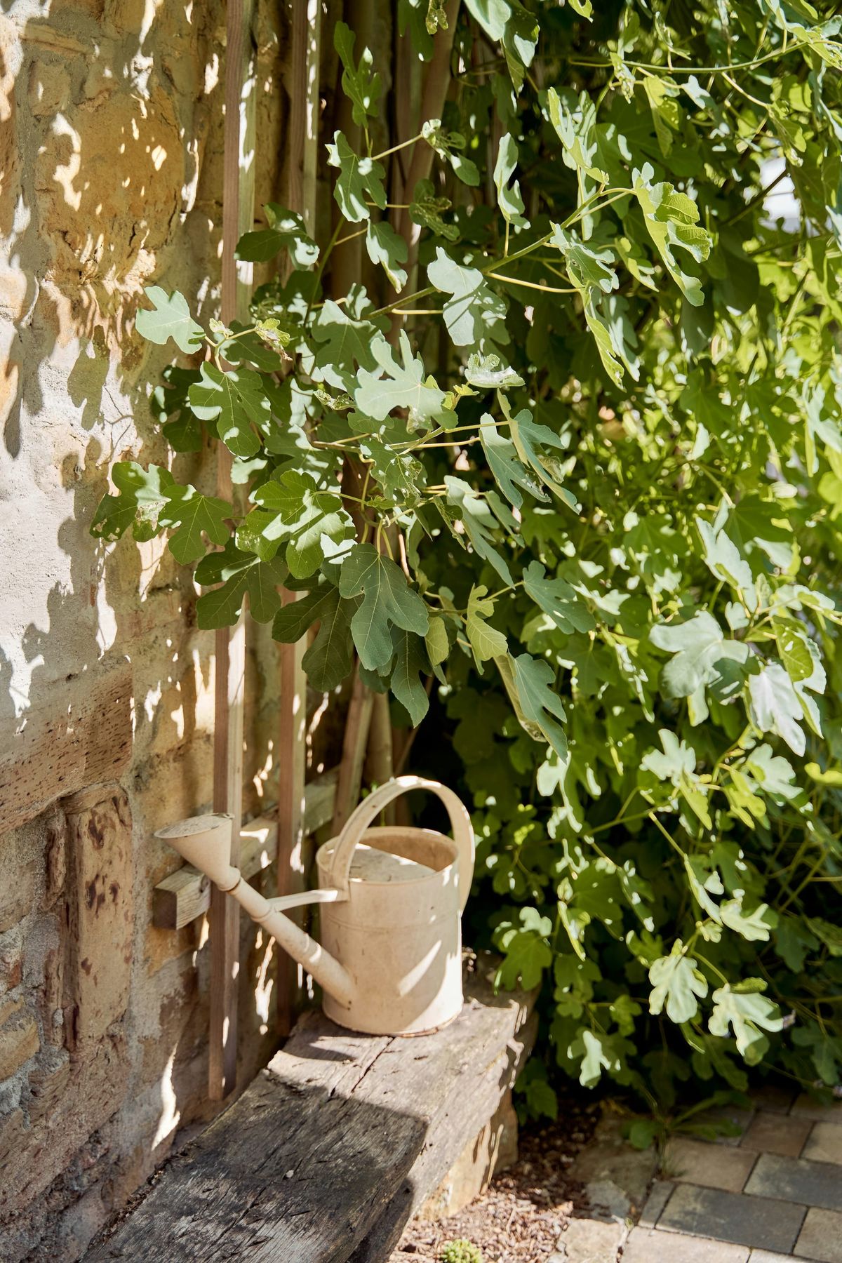 una regadera de jardín, metálica, pintada de blanco, al lado de un arbusto frondoso y verde