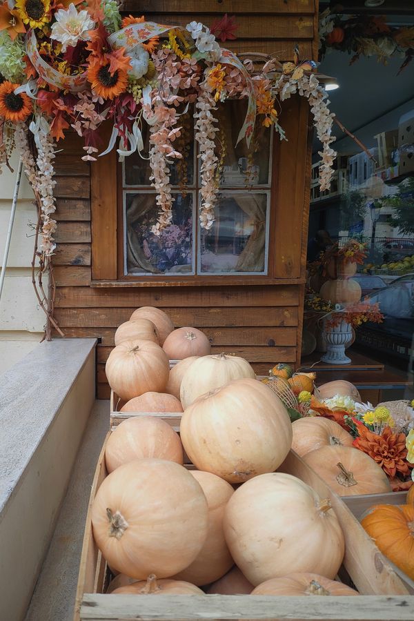 la entrada de una tienda con decoraciones otoñales de gerberas color naranja en una guirnalda y cestos de madera repletos de calabazas grandes