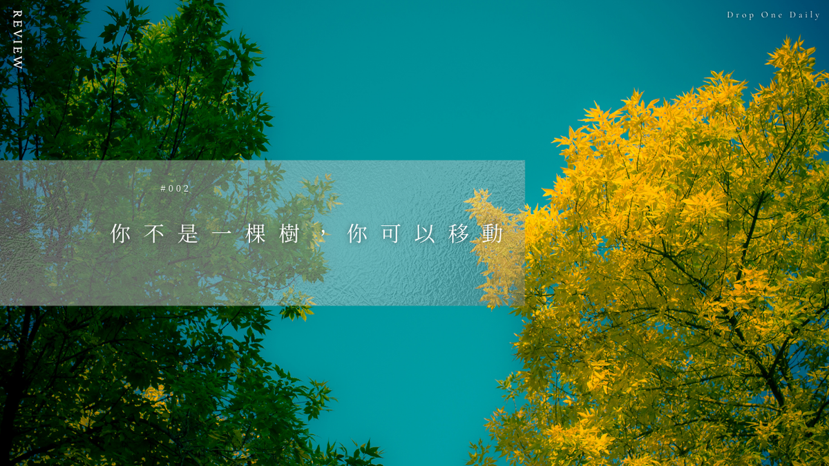 週五 #002｜你不是一棵樹，你可以移動