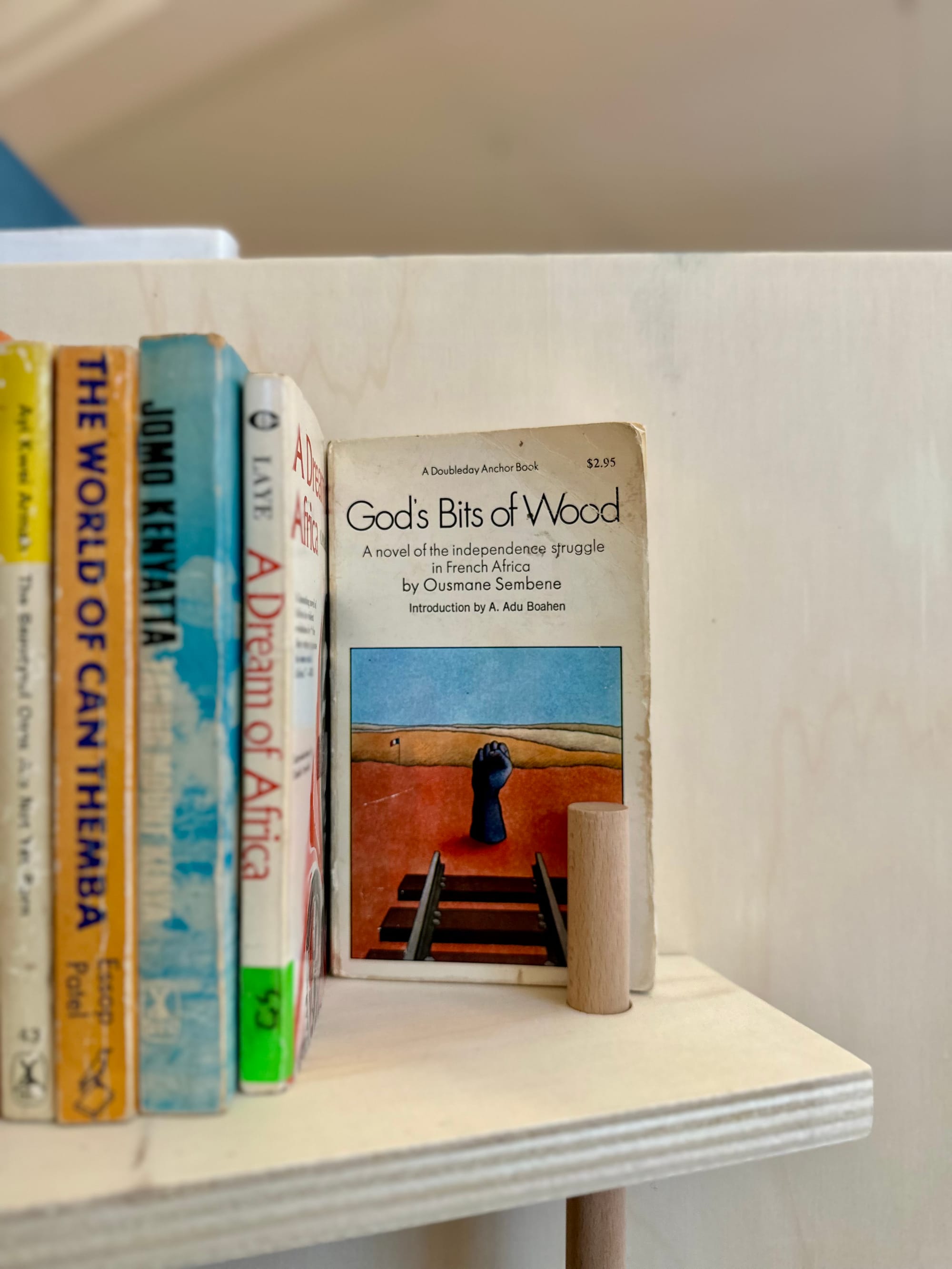 A plywood bookshelf showing the cover of one book in particular, God's Bit of Wood by Ousmane Sembene.