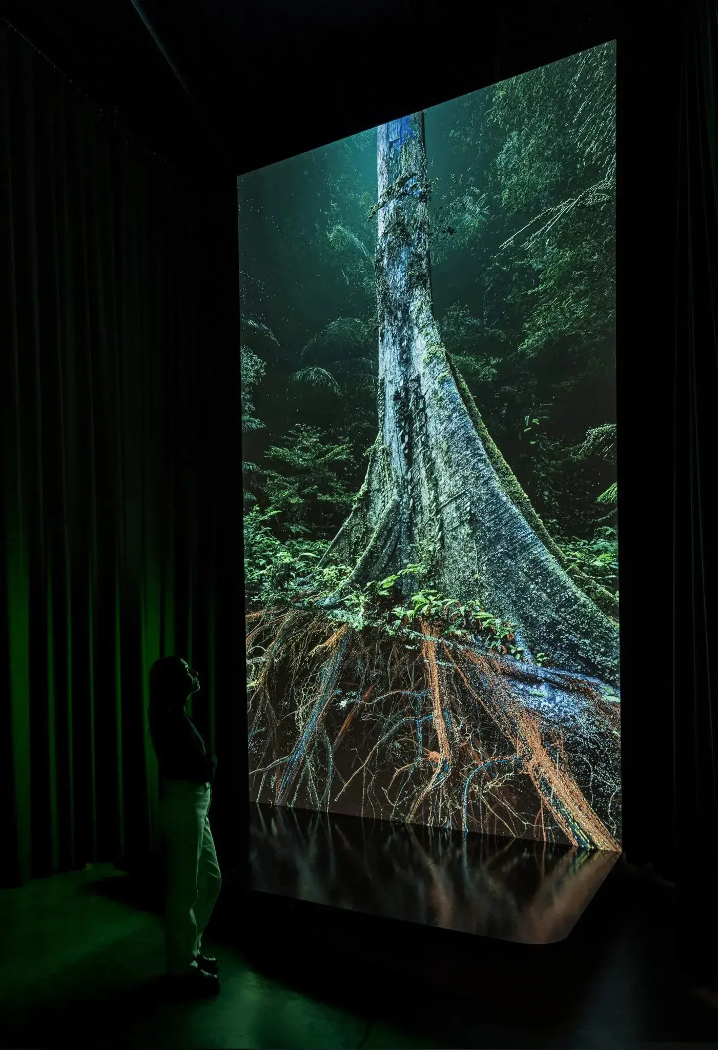 A visitor to an art gallery views a digital artwork in a darkened room. On the screen is a digital high resolution graphic showing the exposed roots of a giant tree.